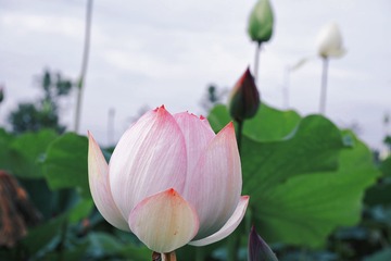 997FA40A-31C7-461F-823C-63A94C8C7759/L0/001