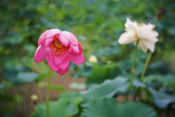 26AB3DC9-9D5B-4C80-B138-0EC35BF20434/L0/001