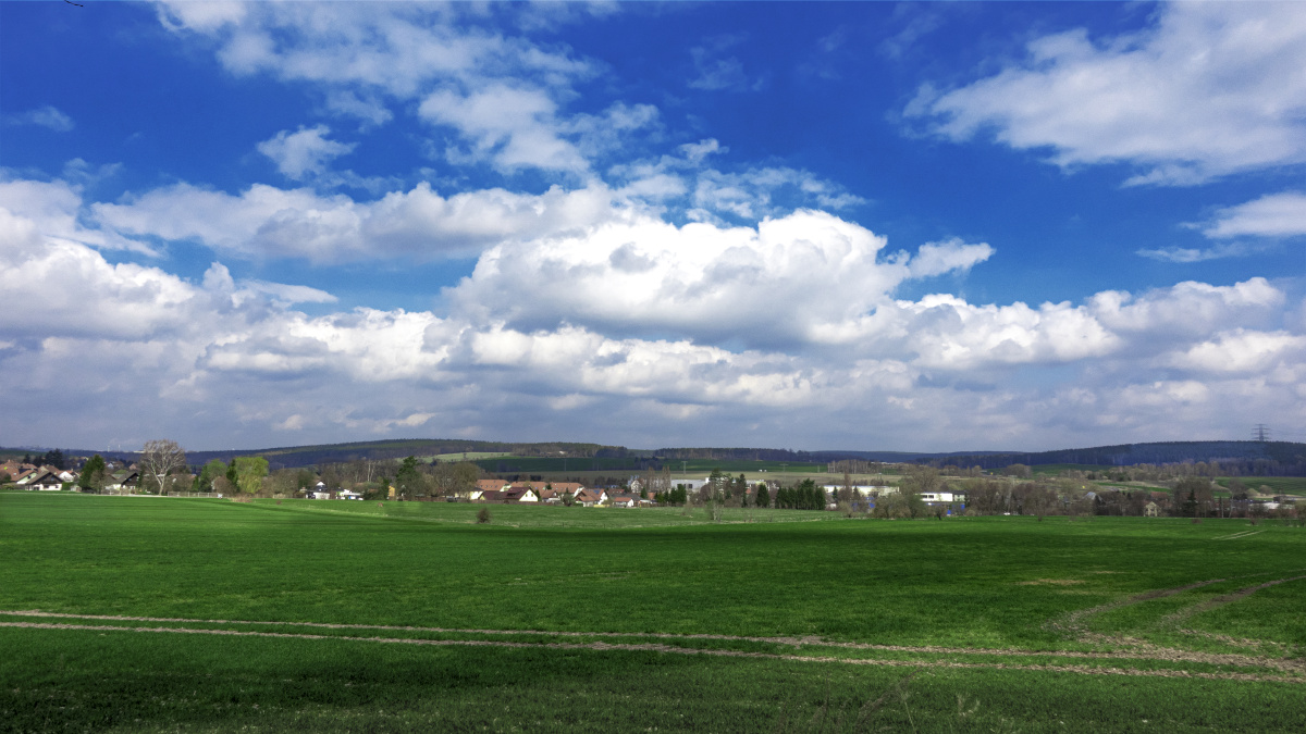 初夏的草原坐标德国兰格维森