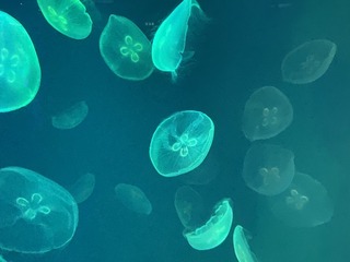 2D850404-EBE7-48FD-9348-DD870AE93738/L0/001