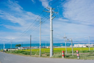 青海湖小路