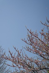 Optional("8AD144F2-4AC0-4F1C-BD2C-E3938C84C8FB/L0/001")