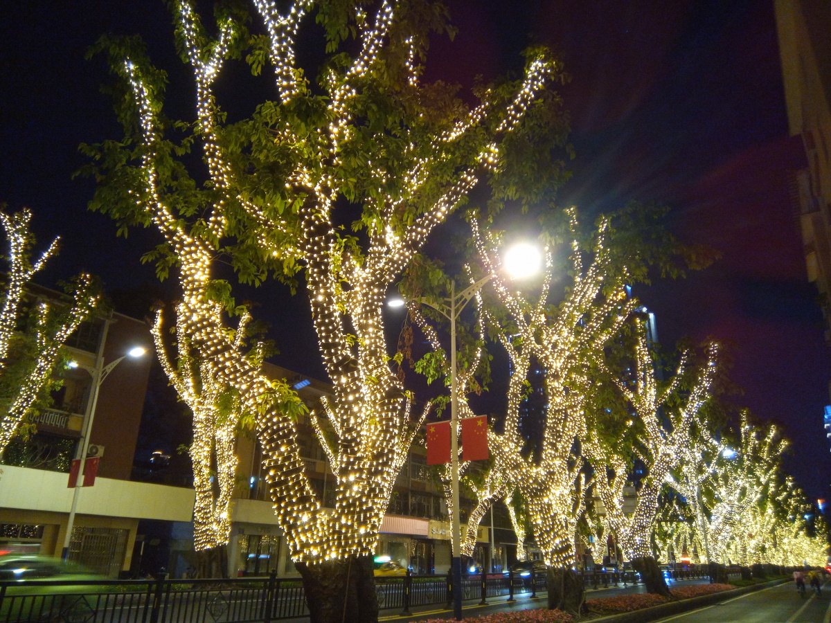 春天里的花园灯火阑珊处的霓虹