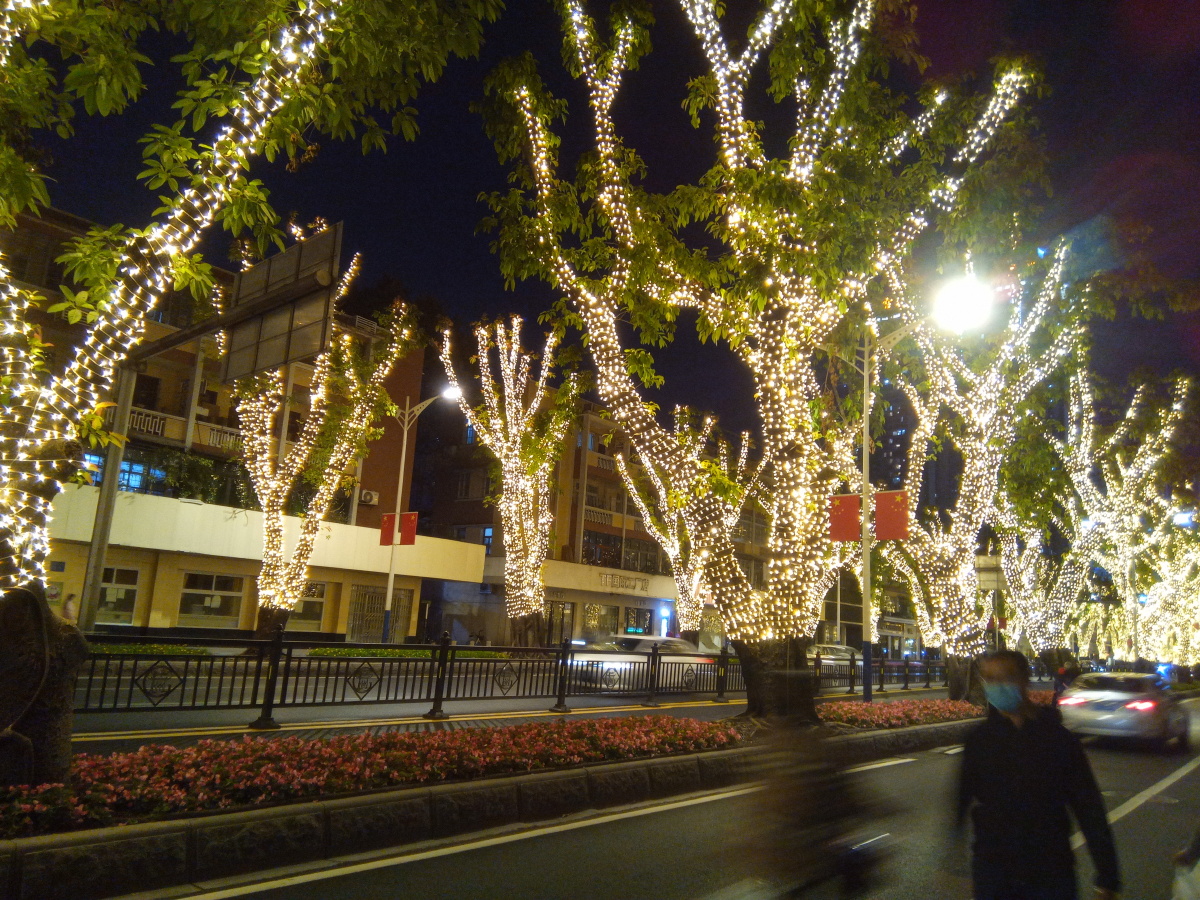 春天里的花园灯火阑珊处的霓虹