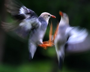 5544