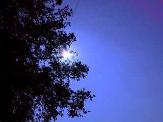 6454523