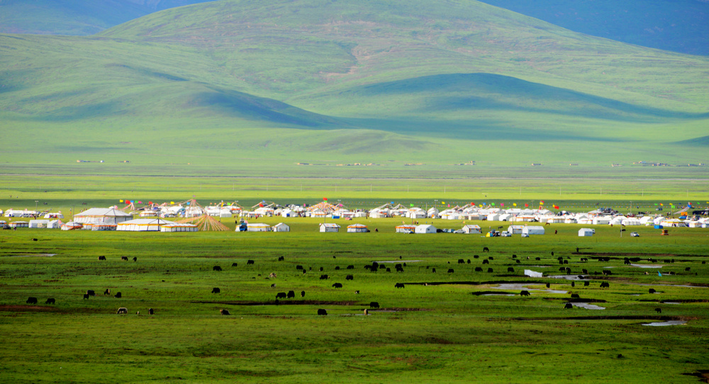 七月份的玉树嘉塘草原