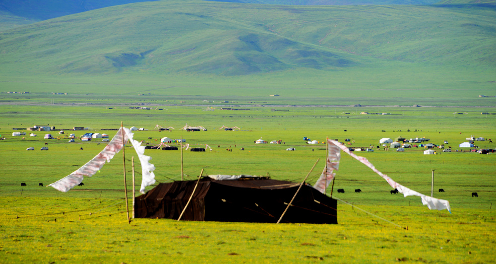 七月份的玉树嘉塘草原