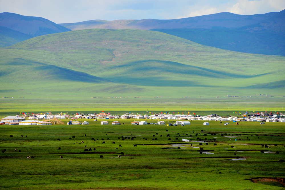 七月份的玉树嘉塘草原