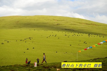 _AAA0293