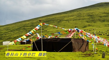 _AAA0278