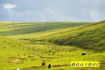 _AAA0274