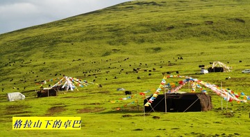 _AAA0276