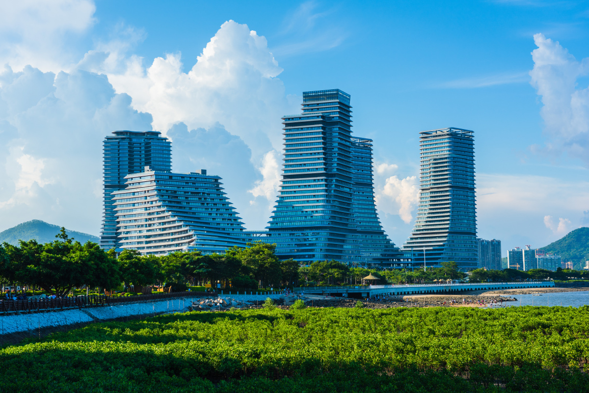 厦门中心,海沧湾,红树林