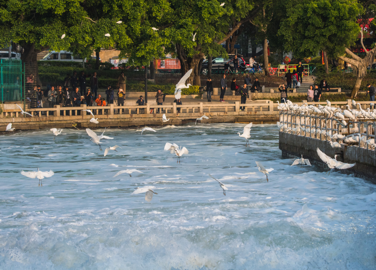 厦门西堤的白堤
