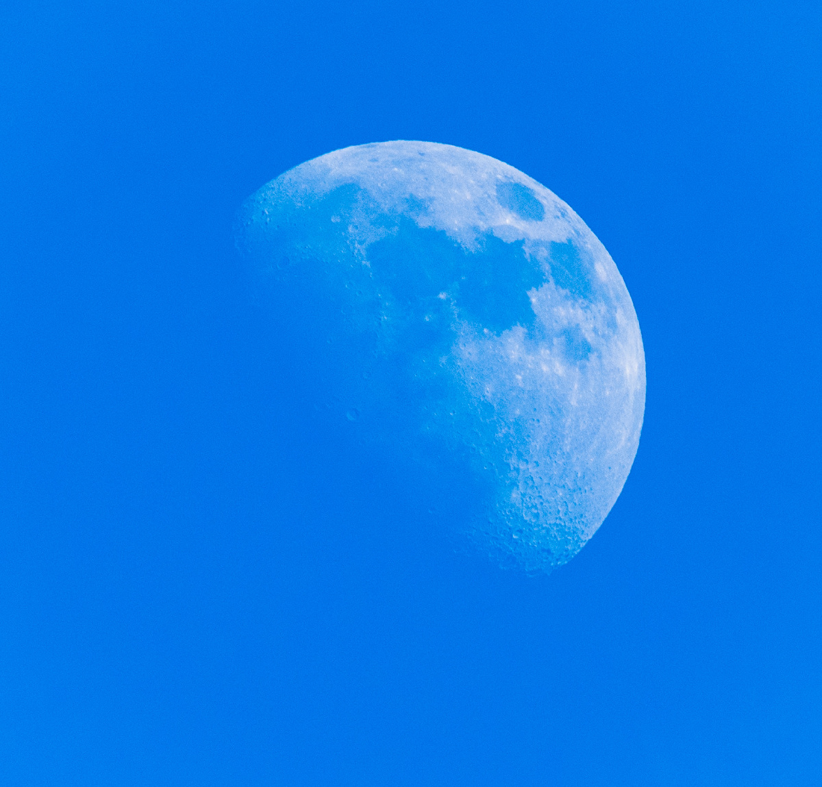 蓝月亮
