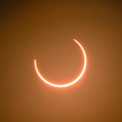 1284131