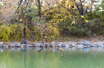DSC_5714-qs