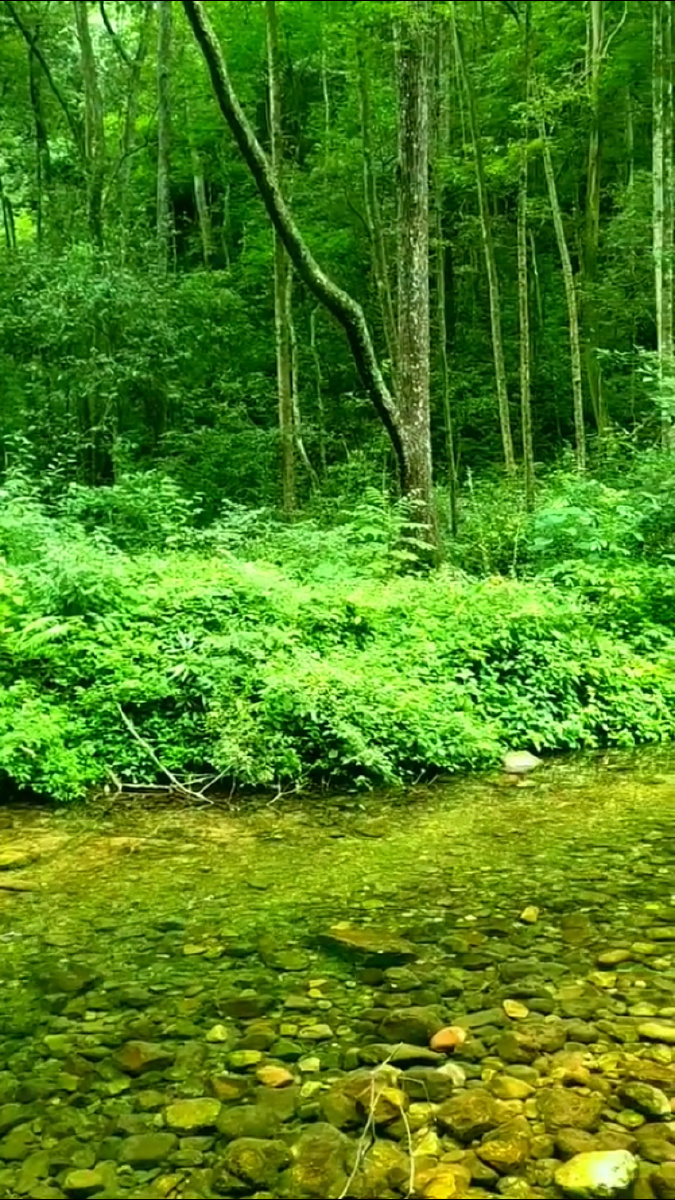碧绿是生命的秀色,原生态的自然美.