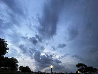 D8C1EE8C-FA08-4616-B945-7A0564AD6245/L0/001