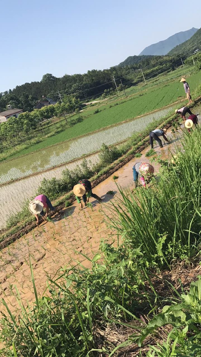 辛勤劳动的人们