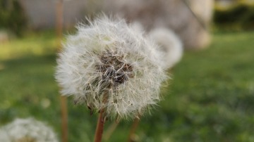 13043