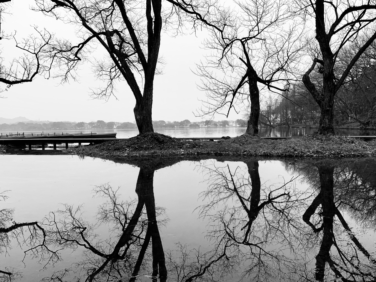 黑白西湖,上下不分