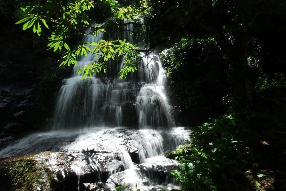 屏边大围山九层瀑布