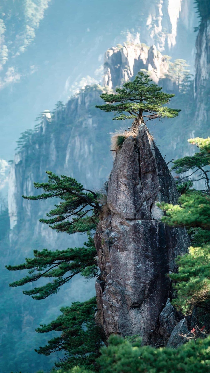 675_1200竖版 竖屏