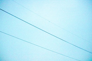 20161120-IMG_1022