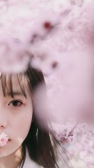 7821A2D7-31CF-40E9-89FF-E1B486E1FC64/L0/001
