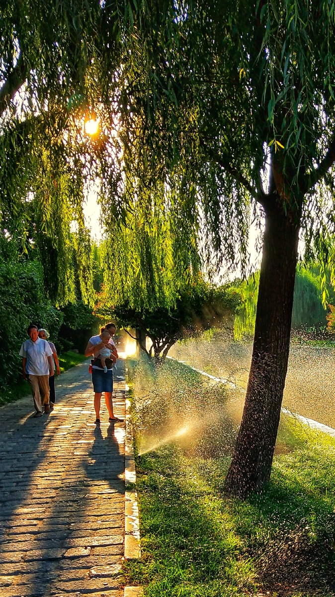 作品名:晨沐育儿.作者:杨跃雄,手机号13979443598.