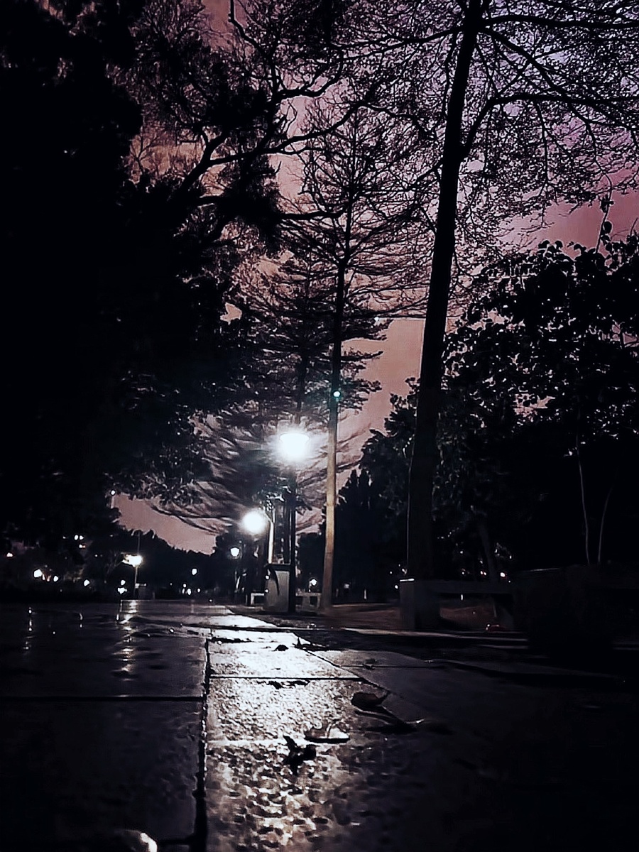 夕夜拍摄于广东肇庆星湖边上漫步星湖夜寂寥