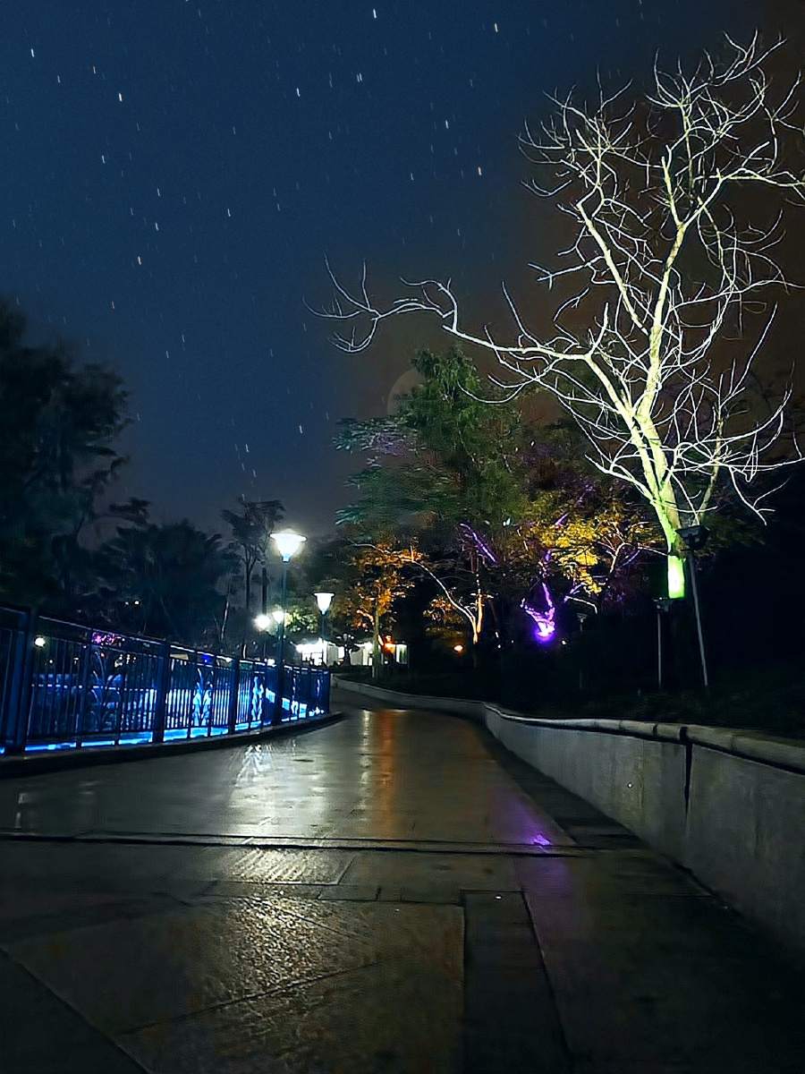 夕夜拍摄于广东肇庆星湖边上漫步星湖夜寂寥