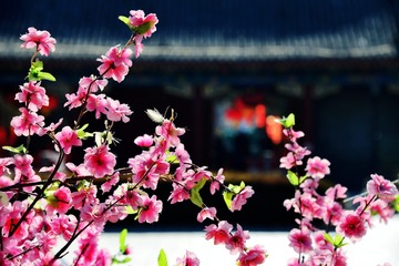 大楼