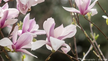 140251