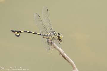 DSC09397-001