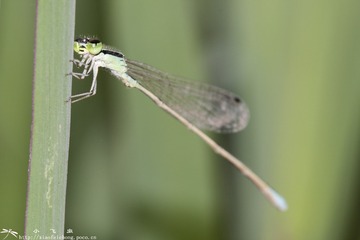 DSC01754-001