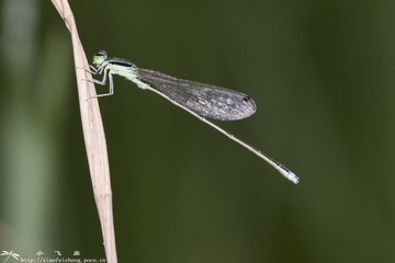 DSC01755-001
