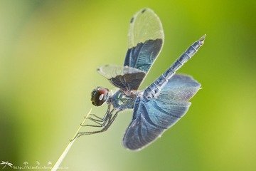 DSC09790-01-001