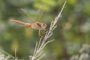 DSC01557-001