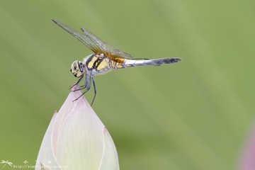 DSC09502-001