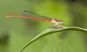 DSC_4657-w