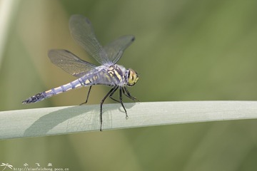 DSC07200-001