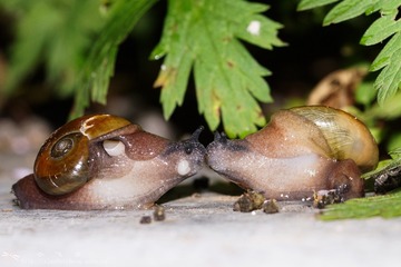 DSC00558-01-001