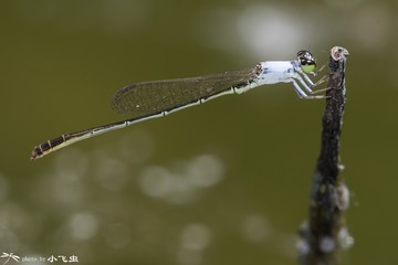 DSC01984-001