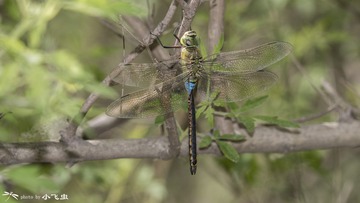 DSC09056-001