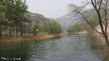 DSC08781-001