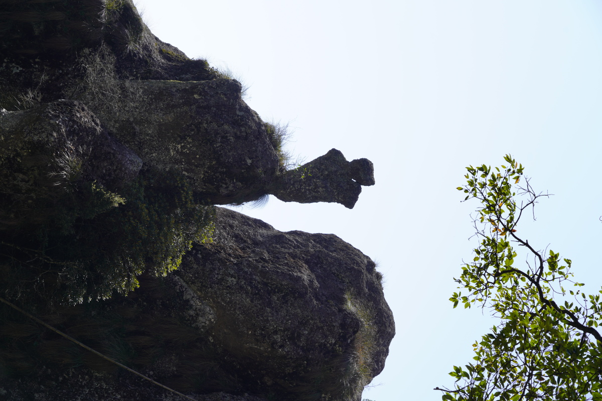 福建南平政和佛子岩