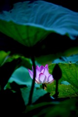 001